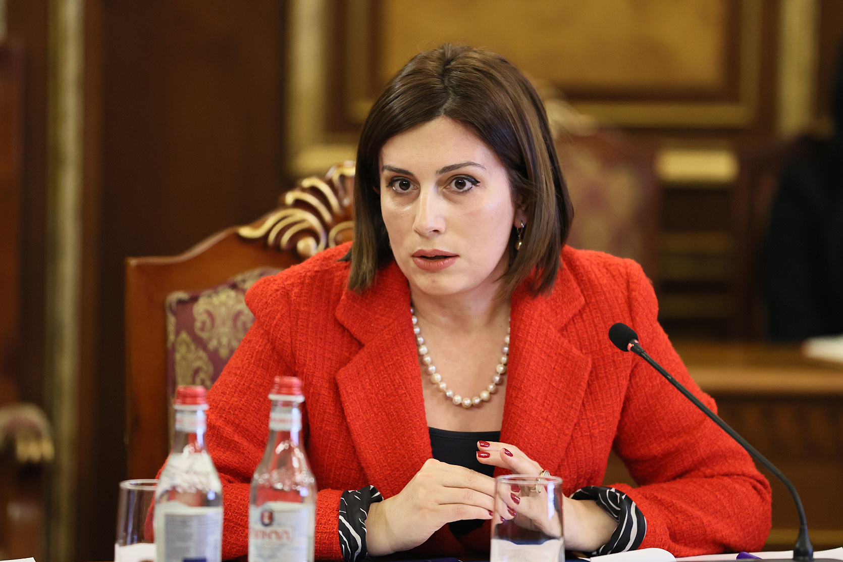 Ավանեսյանն ապահովագրության նախագիծն արդեն իրականություն է ներկայացնում. փաստերն այլ բան են ասում