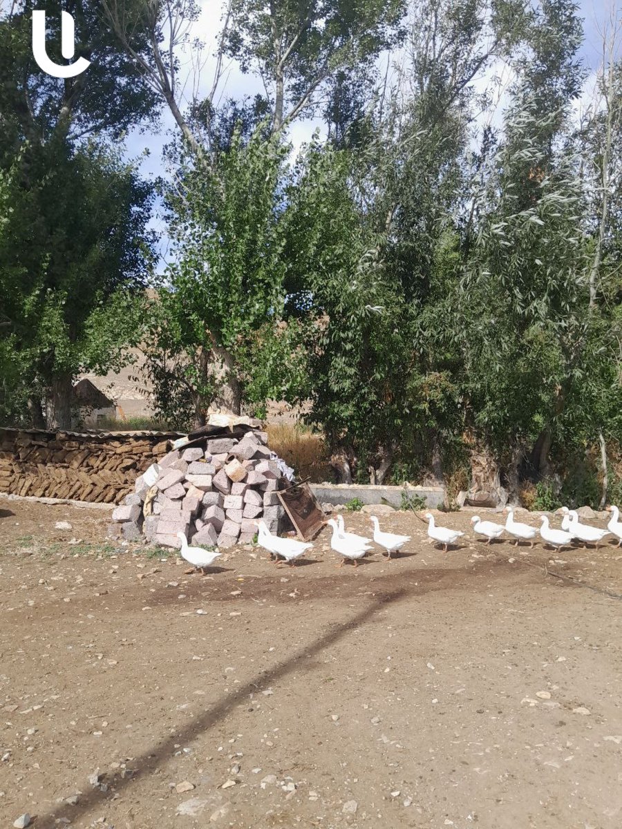 «Մե՞կ էլ քոչենք»․ արցախյան պատերազմի վկաները, ովքեր Տրետուքից չեն ուզում հեռանալ, թեեւ ադրբեջանական ԶՈւ-ի ուղիղ նշանառության տակ են ապրում