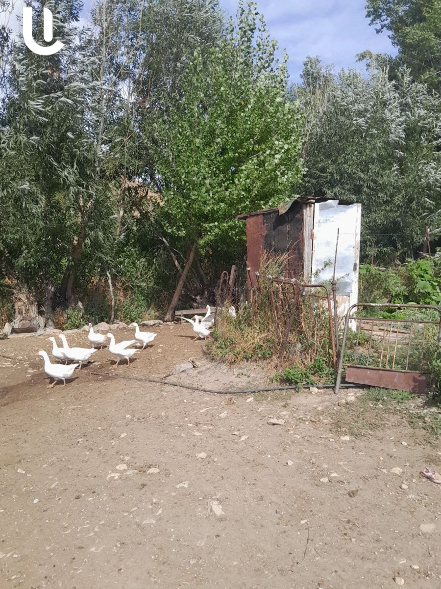 «Մե՞կ էլ քոչենք»․ արցախյան պատերազմի վկաները, ովքեր Տրետուքից չեն ուզում հեռանալ, թեեւ ադրբեջանական ԶՈւ-ի ուղիղ նշանառության տակ են ապրում
