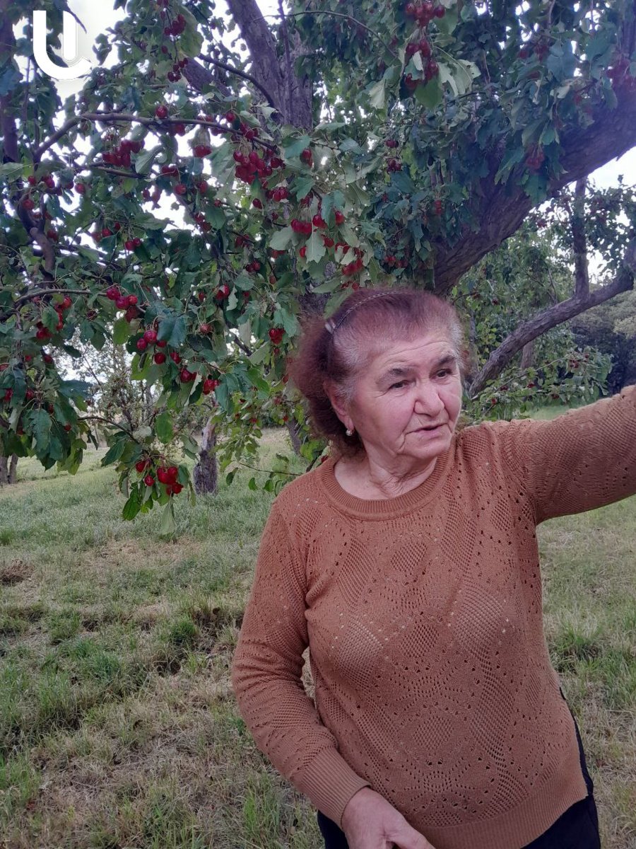 «Մե՞կ էլ քոչենք»․ արցախյան պատերազմի վկաները, ովքեր Տրետուքից չեն ուզում հեռանալ, թեեւ ադրբեջանական ԶՈւ-ի ուղիղ նշանառության տակ են ապրում