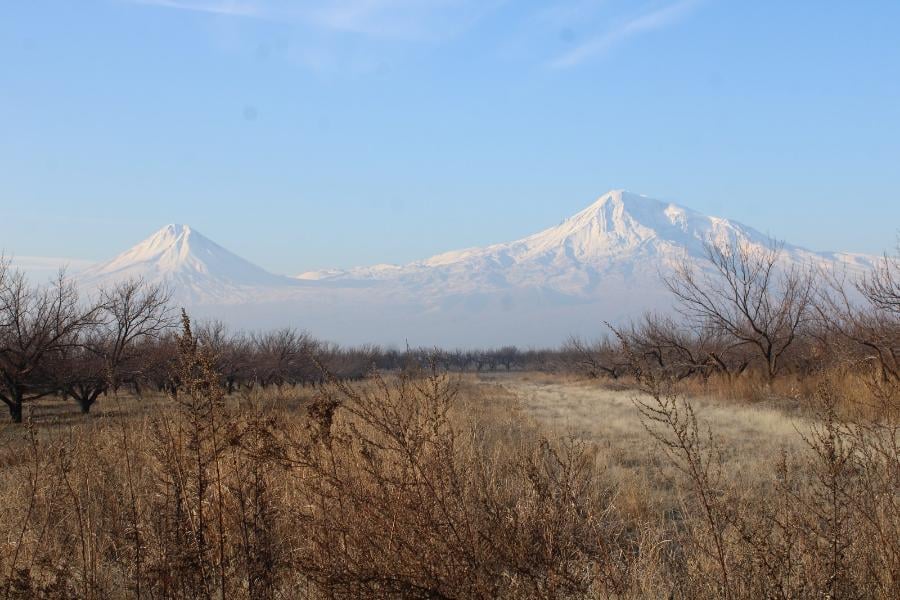 «Արարատ լեռը հայ ժողովրդի ինքնության խորհրդանիշն է». երեխաներից յուրաքանչյուրը յուրովի պատկերեց Հայոց սրբազան լեռը