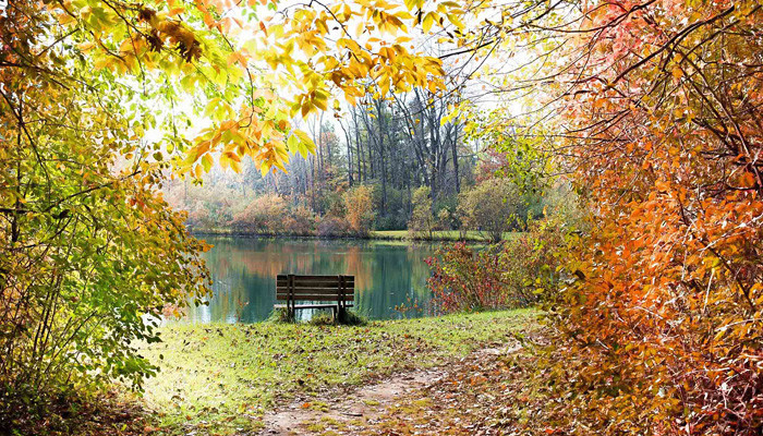  Եղանակն առաջիկայում 