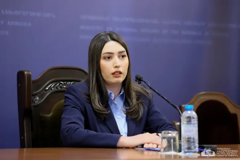 Մեքենաներից գողություն կատարող 16 խումբ է բացահայտվել․ ՆԳ նախարար