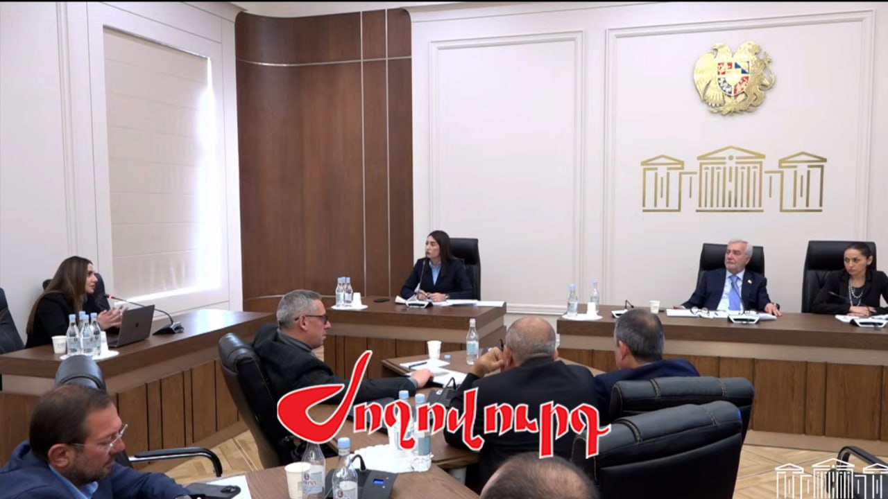 ՏԵՍԱՆՅՈՒԹ․ «Աշակերտը ունենում է սառը զենք, դպրոցներում ունե՞նք բավարար հսկողություն»․ հարց՝ ՆԳ նախարարին