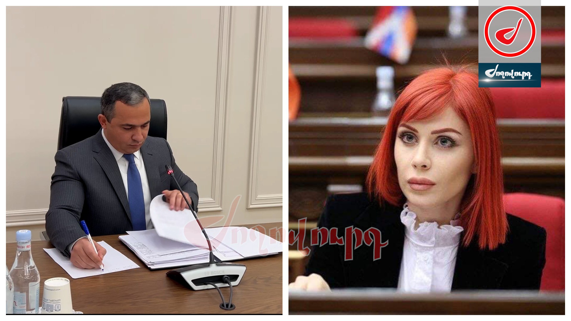 ՏԵՍԱՆՅՈՒԹ․ Զադերշկան ինչումն է Սամվել Կարապետյանի գործով․ Ագնեսա Խամոյանի հարցը Քննչական կոմիտեի նախագահին