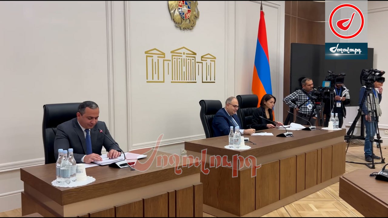 ՏԵՍԱՆՅՈՒԹ․ Առաջվա էնտուզիազմը չունեք․ Ագնեսա Խամոյանը՝ կոմիտեի նախագահին