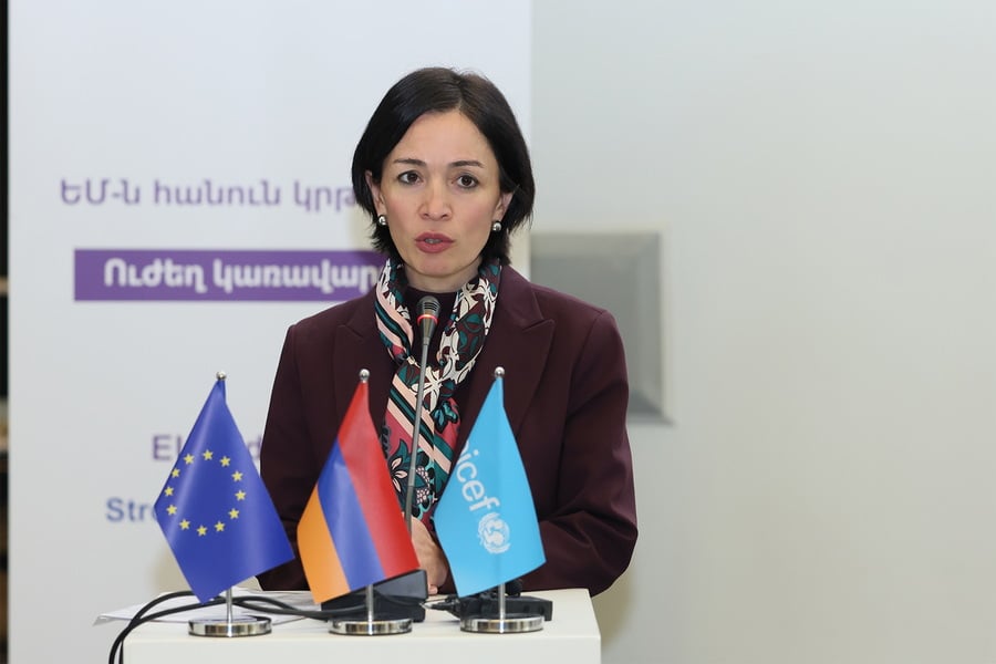 Թումոն հայկական բրենդներից մեկն է, որն արտահանվում է այլ երկրներ. ԵՄ պատվիրակության ղեկավար