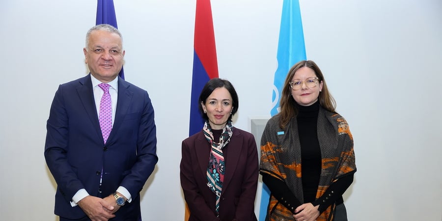 Թումոն հայկական բրենդներից մեկն է, որն արտահանվում է այլ երկրներ. ԵՄ պատվիրակության ղեկավար