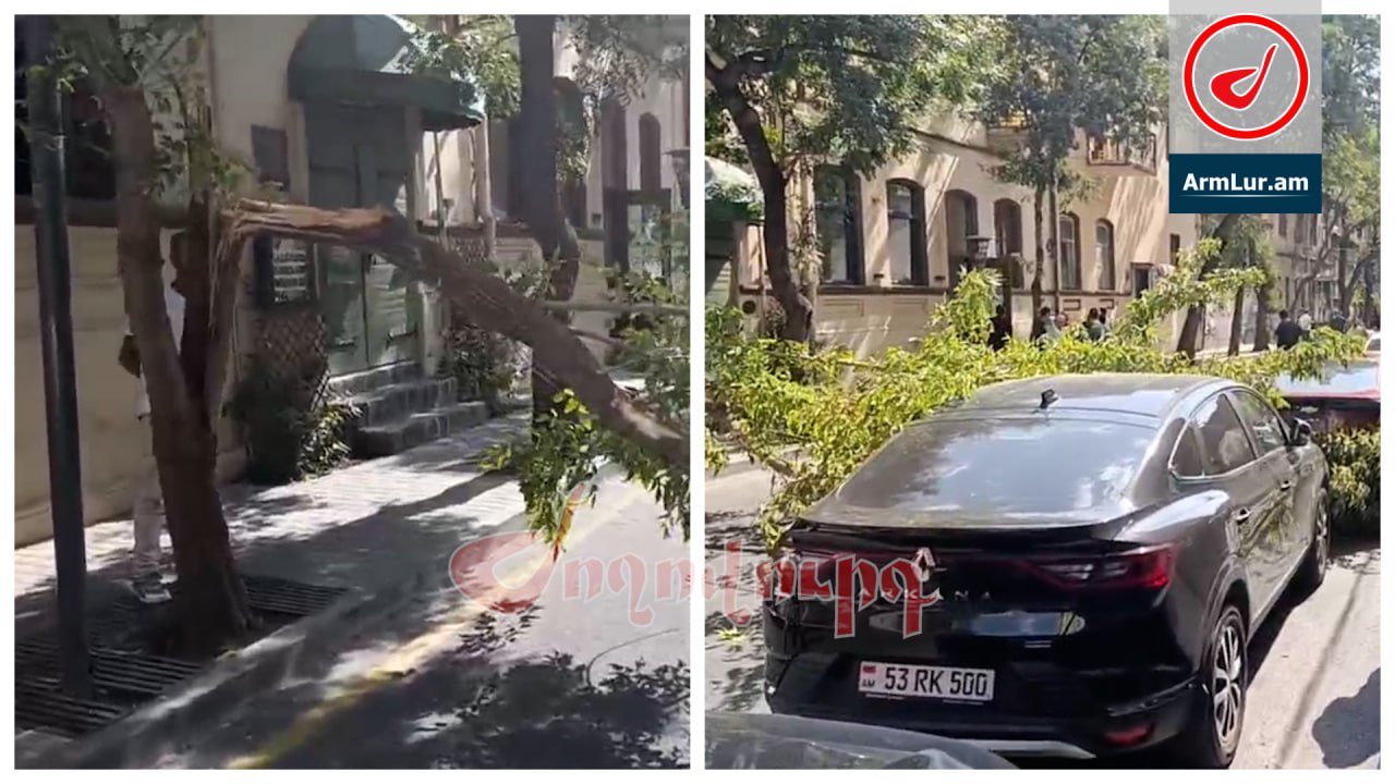 ՏԵՍԱՆՅՈՒԹ․ Պուշկին փողոցում ծառը կոտրվել ընկել է մեքենայի վրա. փրկարարները դեպքի վայրում են