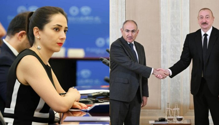  «Խաղաղության համաձայնագրի ստորագրման ամսաթվի հարցում ՀՀ-ի մոտեցումը չի փոփոխվել». Անի Բադալյան 
