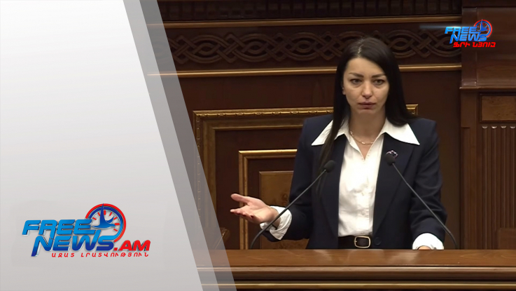 Ո՛չ իշխանություն եղած ժամանակ էիք այս երկրից, ո՛չ ընդդիմություն. Հասմիկ Հակոբյան