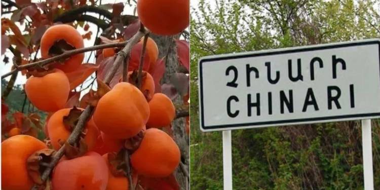 «Հրապարակ». Կորոլյոկը չի իրացվում` կարտոֆիլի հետ են փոխանակում, օղի են թորում