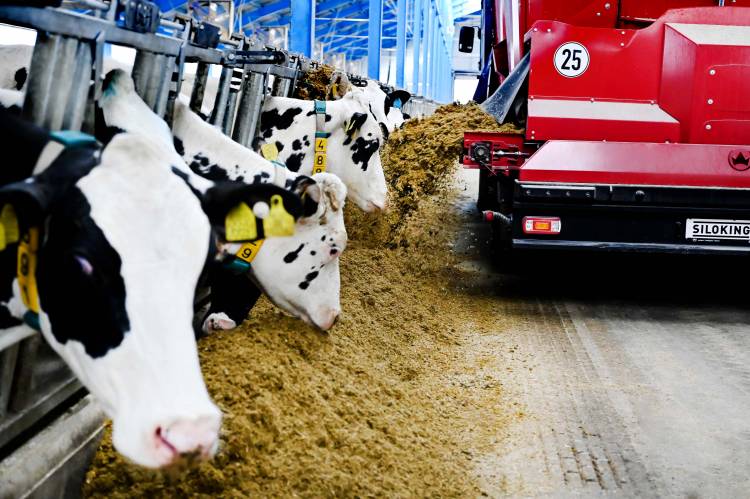 Երեմյան կաթնամթերքը միակն է Հայաստանում որակի 6 ցուցիչով