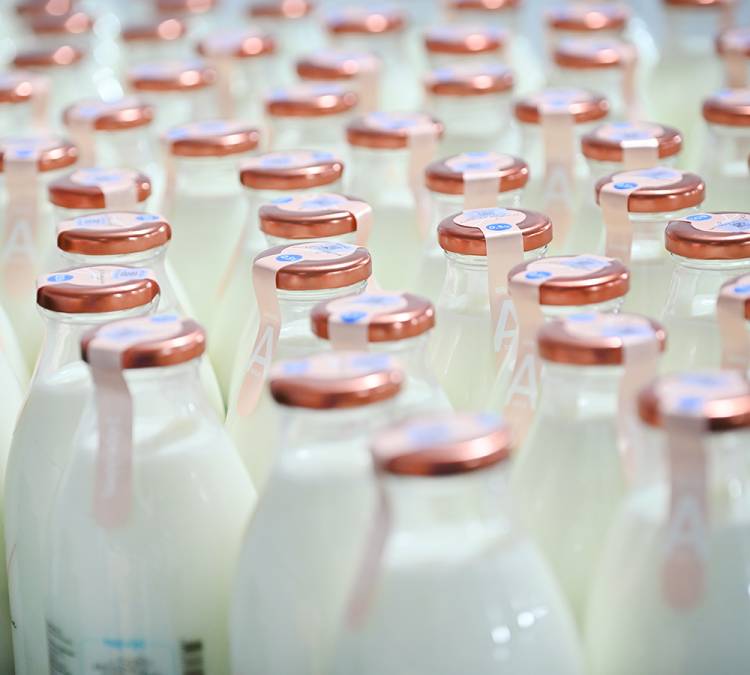 Երեմյան կաթնամթերքը միակն է Հայաստանում որակի 6 ցուցիչով