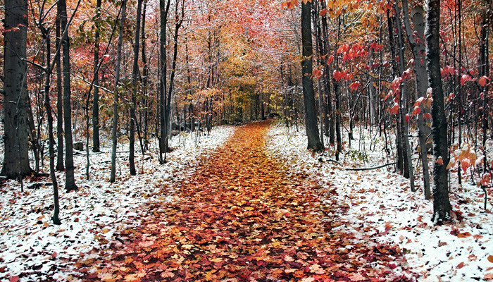  Սպասվում են տեղումներ 