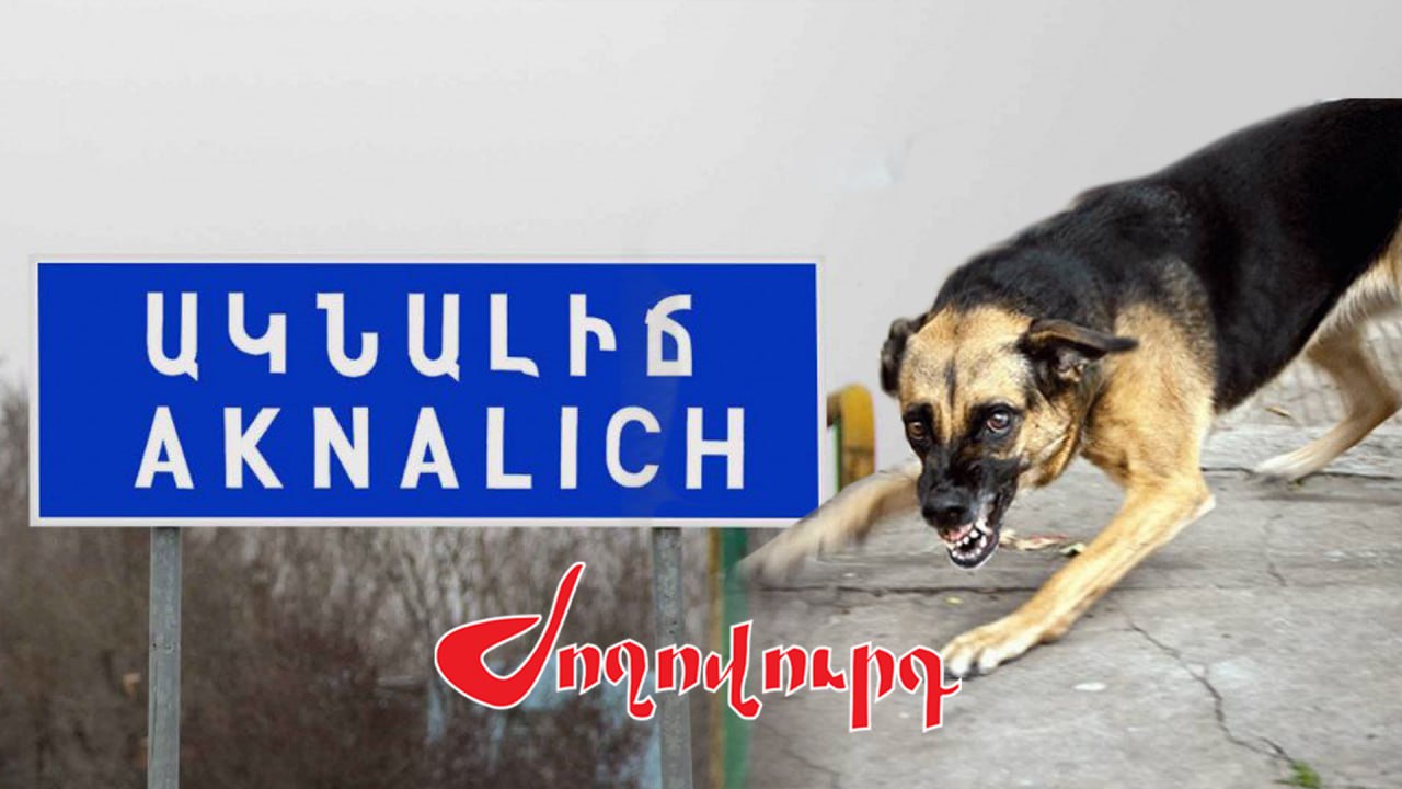 ՏԵՍԱՆՅՈՒԹ․ 3 տարեկան երեխան մահшցել է կատաղած շան կծելուց. մանրամասներ