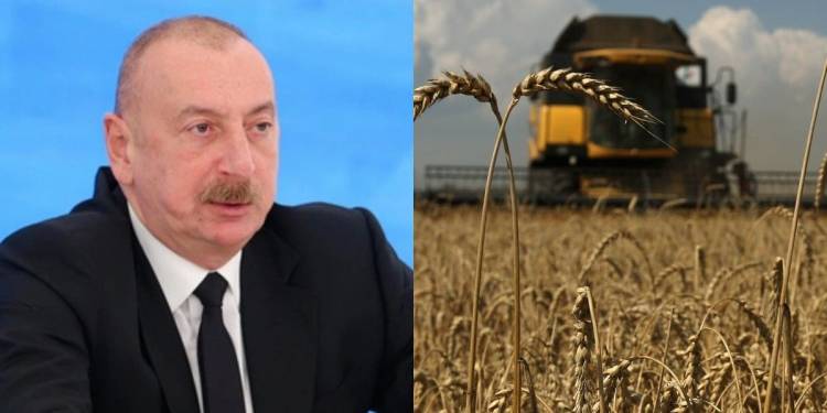 «Հրապարակ». Ղազախական ցորենի առաքման ակունքում կանգնած է Իլհամ Ալիե՞ւը 