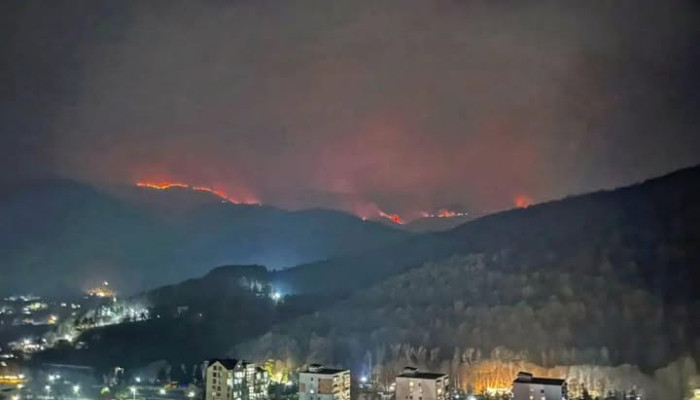  ՀՐԱՏԱՊ ԼՈՒՐ. «Դիլիջանի հրդեհների դեմ պայքարելու համար հավաքում ենք կամավորների խումբ. բոլորի օգնության կարիքը կա». Բնապահպանի տուն 