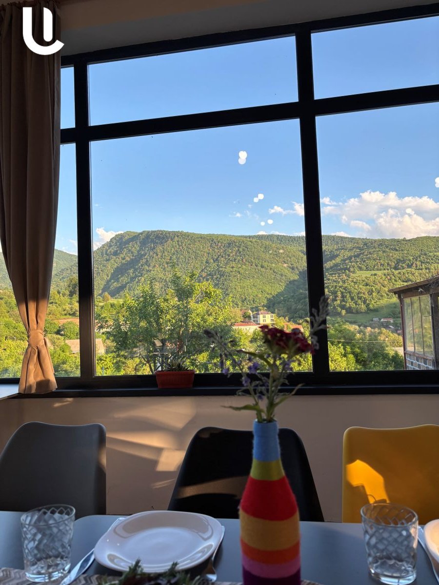 «Գյուղը գրավիչ չէ երիտասարդների համար»․ «Չամիչ» հյուրատան հիմնադիրները Դեբետում փորձելու են ժամանցի հնարավորություններ ստեղծել