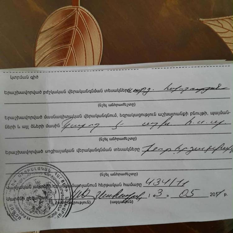 Սոցապ նախարարը հաշմանդամ կնոջը, ում խնամքին 3 հաշմանդամ կա, խորհուրդ է տվել բարերար գտնել