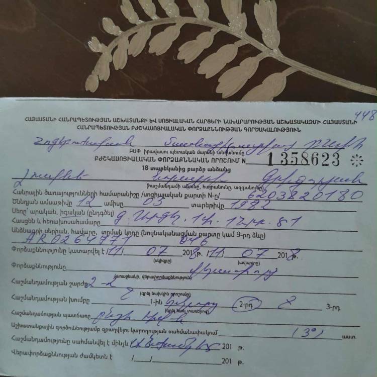 Սոցապ նախարարը հաշմանդամ կնոջը, ում խնամքին 3 հաշմանդամ կա, խորհուրդ է տվել բարերար գտնել