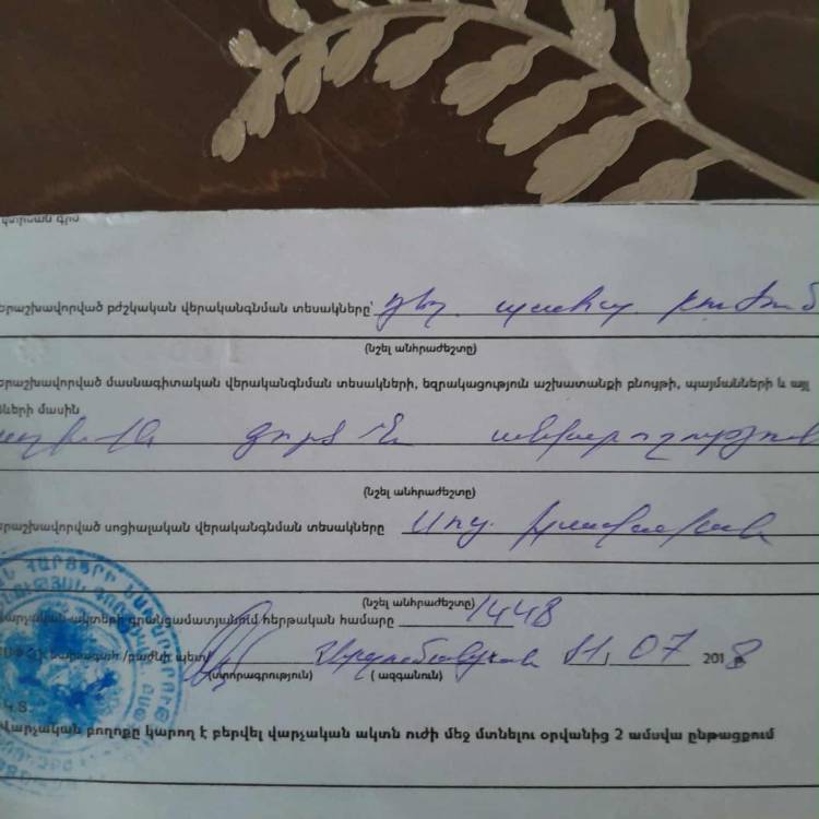 Սոցապ նախարարը հաշմանդամ կնոջը, ում խնամքին 3 հաշմանդամ կա, խորհուրդ է տվել բարերար գտնել